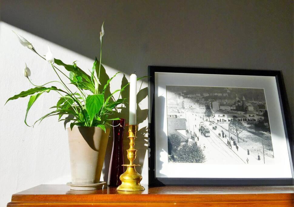 Central 2Br With Balconies And Art In Historical University Area Bergen Exterior foto